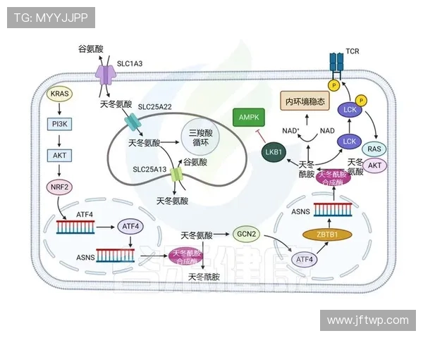 杭州街舞队灵活性表现数据分析揭示其训练效果与团队协作的重要性