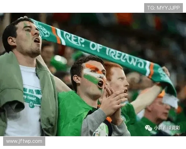 威尔士与爱尔兰精彩对决视频回顾分析及赛后亮点总结